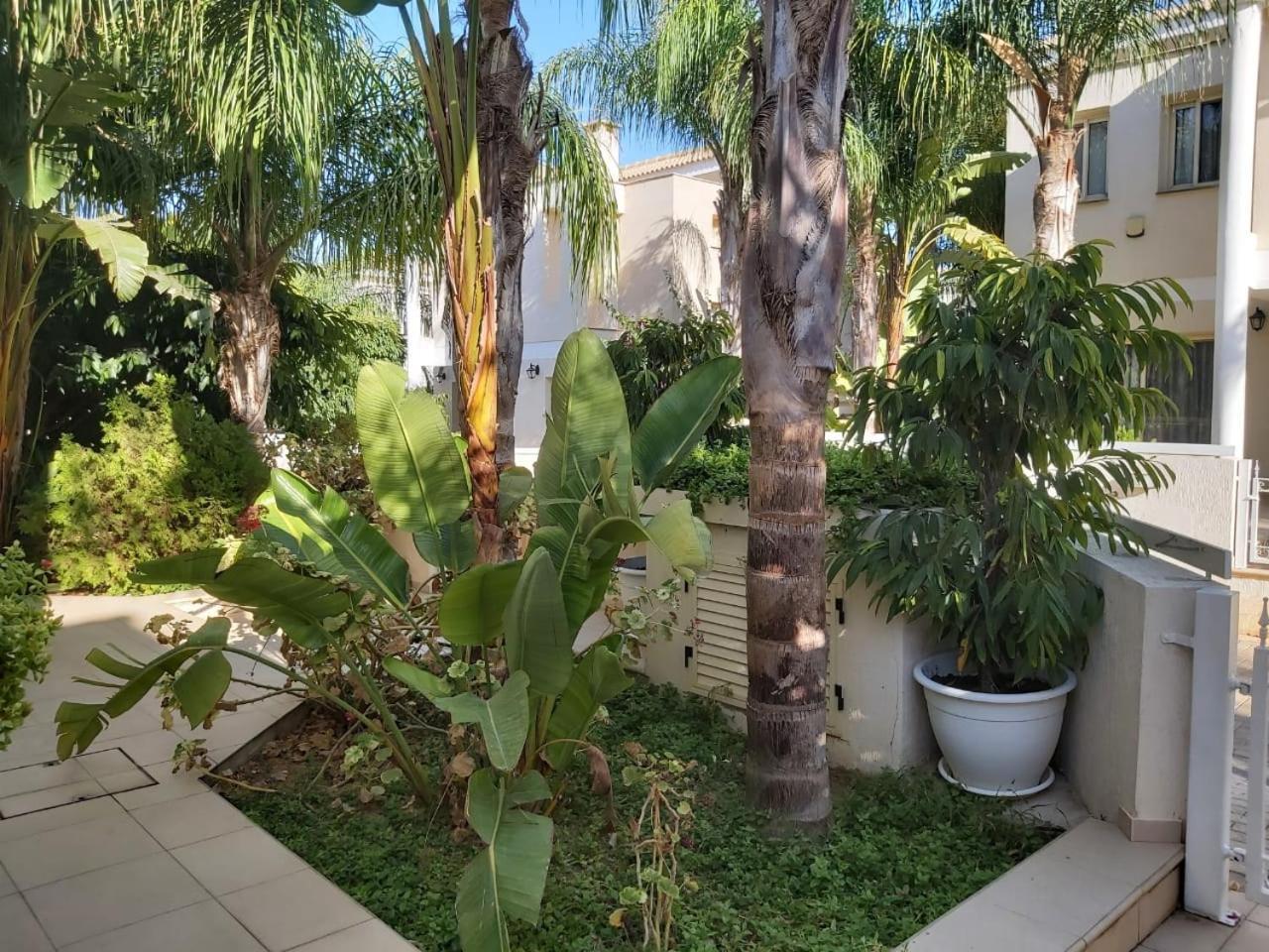Anthorina Villa 5 Protaras Dış mekan fotoğraf
